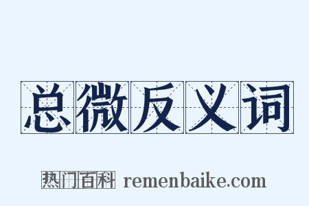 总微反义词是什么意思的图片